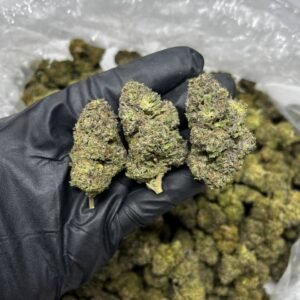 Cream Cake CBD Strain