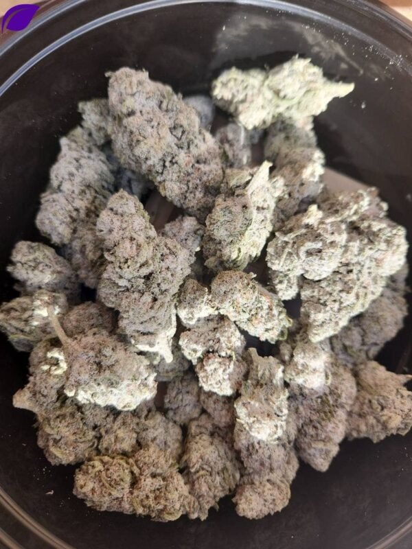 Critical Berry THCa Flower