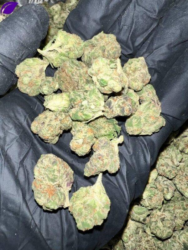 Dagashi Kush THCA Flower
