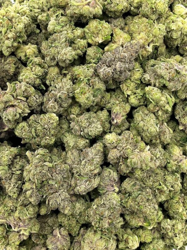 Pave Runtz THCa Flower - Image 2