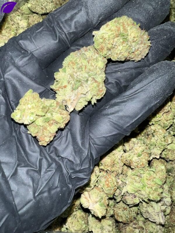 Detroit Runtz THCa - Image 2