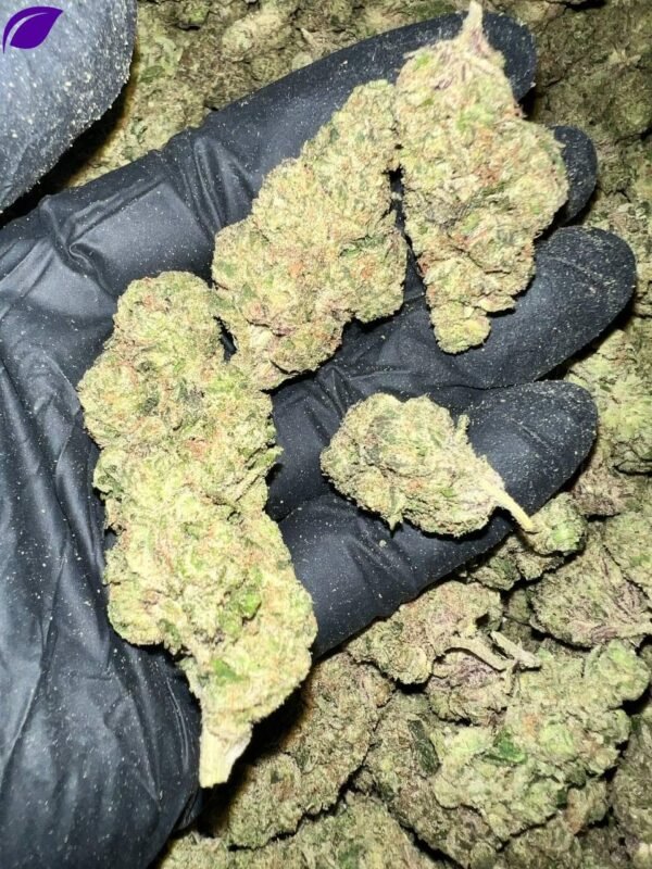 Donny Burger THCA Flower