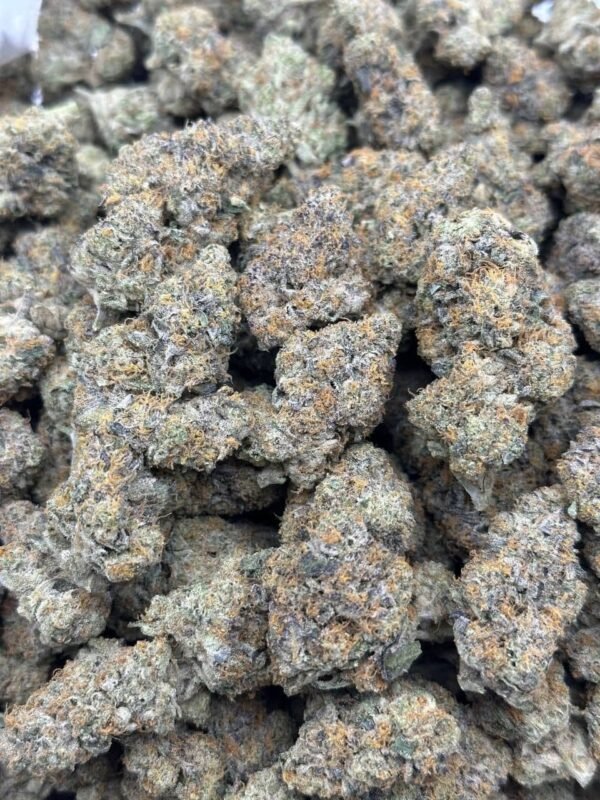 Fiber Runtz Indoor CBD Strain