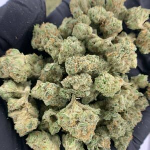 Fiji Mintz THCa Flower