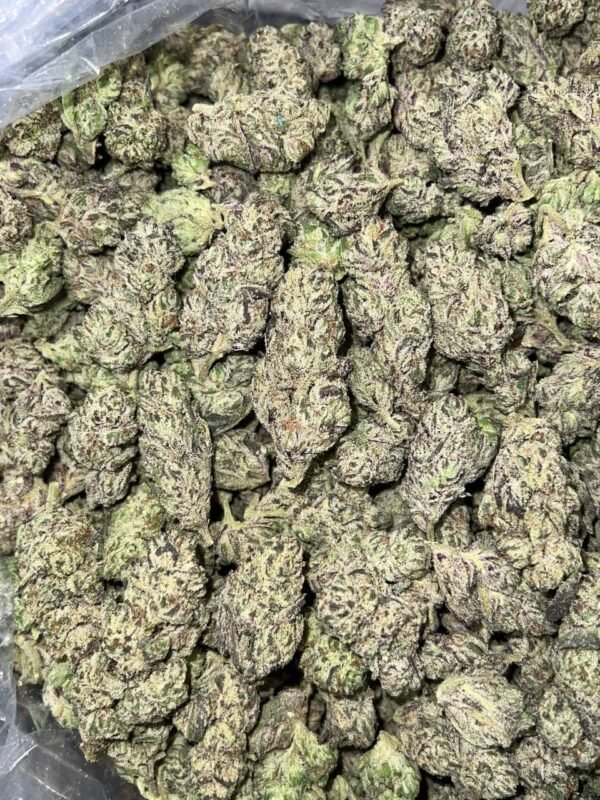 Fishcale Indoor CBD Strain - Image 2