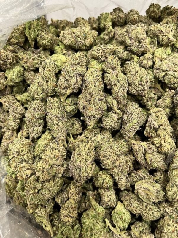 Fishcale Indoor CBD Strain