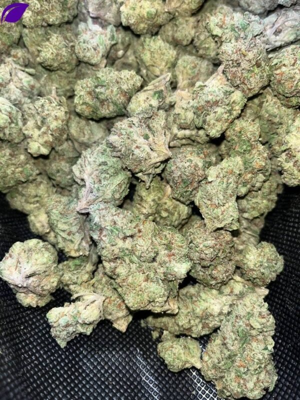 G41 Indoor THCa - Image 2