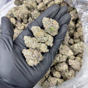 Galaxy Indoor CBD Strain