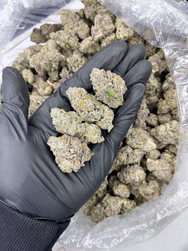 Galaxy Indoor CBD Strain