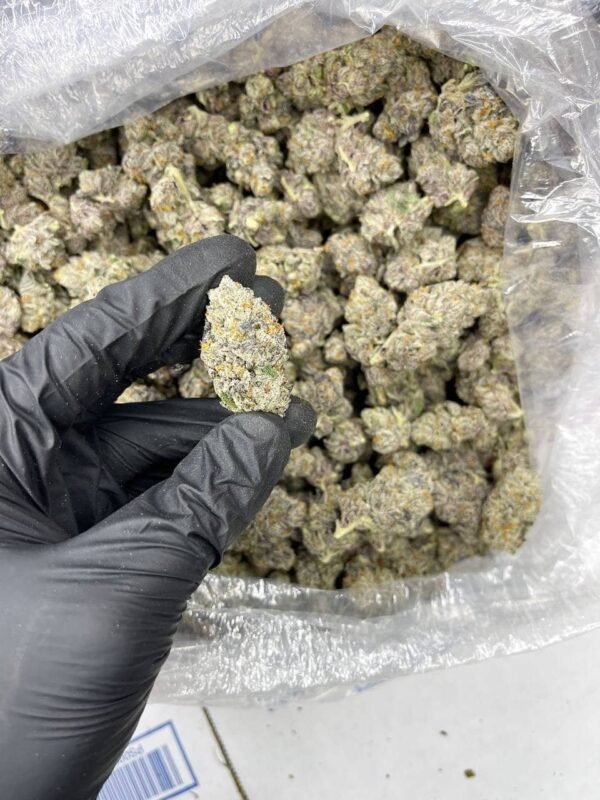 Galaxy Indoor CBD Strain - Image 4