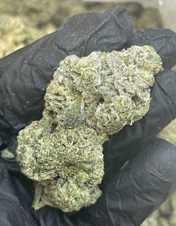 Gary Poppins THCa Flower