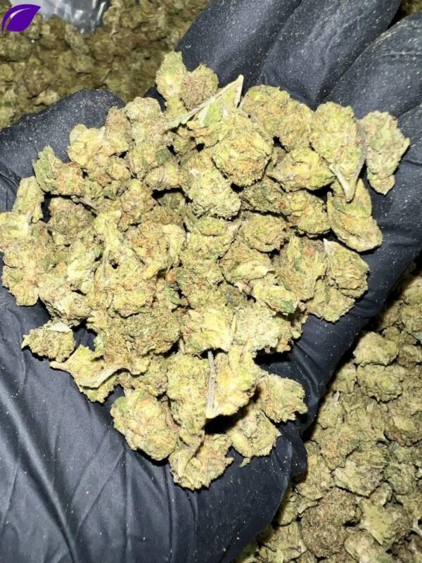 Gary Zkittles THCa Flower