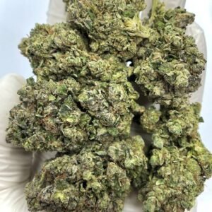 Gelato Mintz THCa Flower