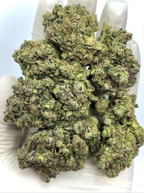 Gelato Mintz THCa Flower