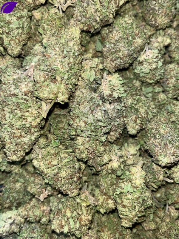 Gelato THCA - Image 2