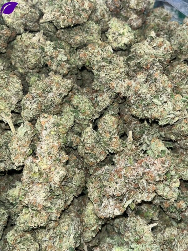 Gelato THCA Indoor - Image 2
