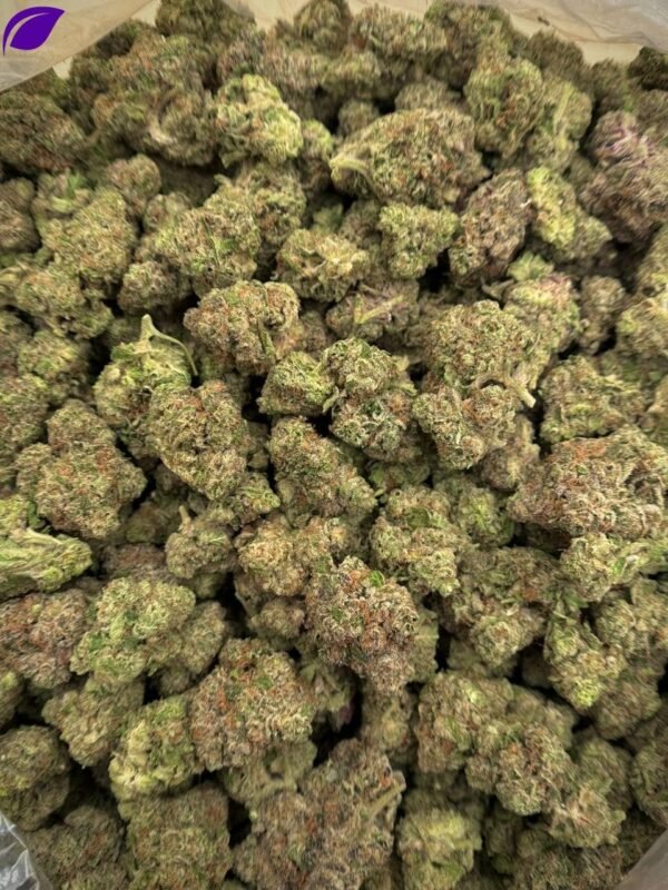Girl Crush THCA Flower - Image 2