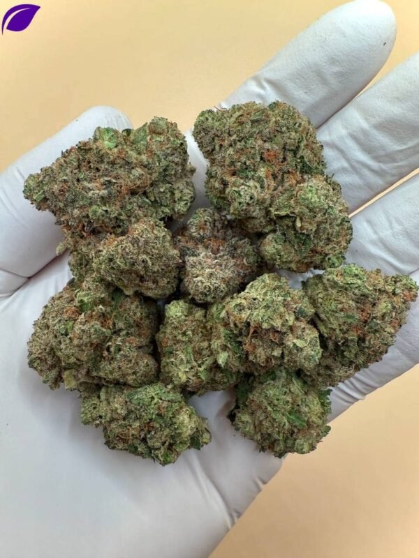 Girl Crush THCA Flower - Image 3