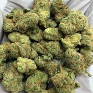 Glitter Bomb Exotic THCa Flower