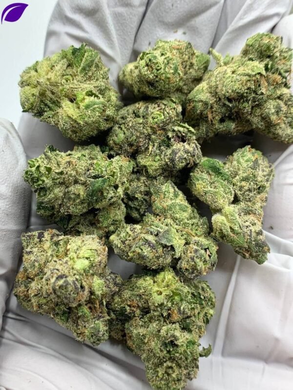 Gorilla Glue #4 THCa Flower