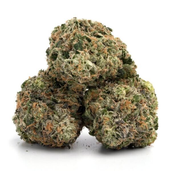 Governmint Oasis THCa Flower - Image 3