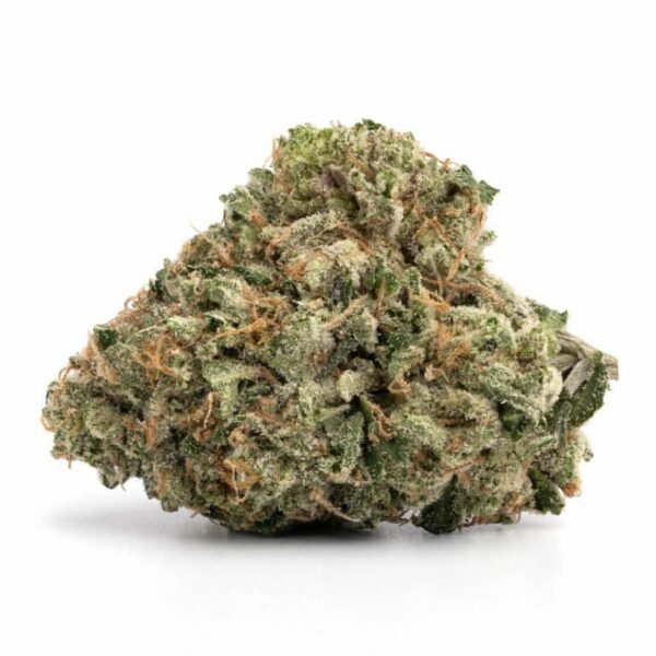 Governmint Oasis THCa Flower - Image 2