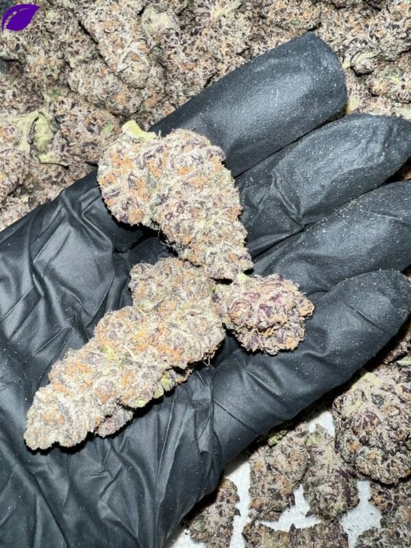 Granimals Exotic THCa Flower