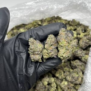 Grape Stomper CBD