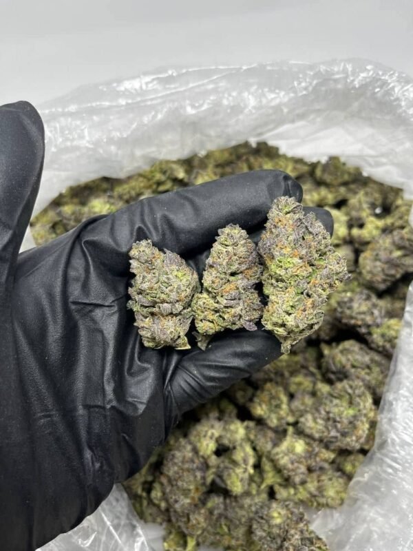 Grape Stomper CBD
