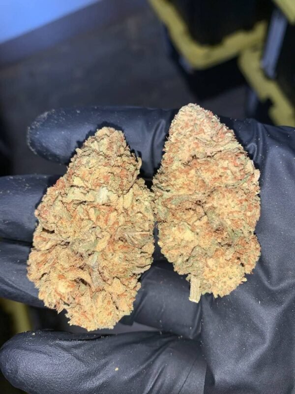 Green Crack CBD Strain