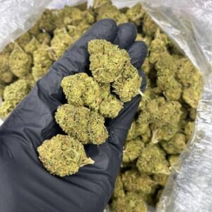 Gushers CBD Strain