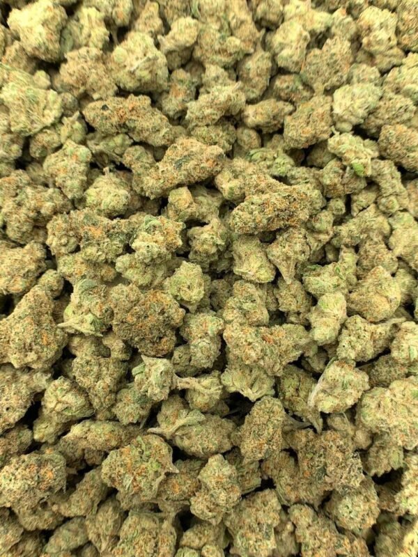 Harlequin CBN Flower