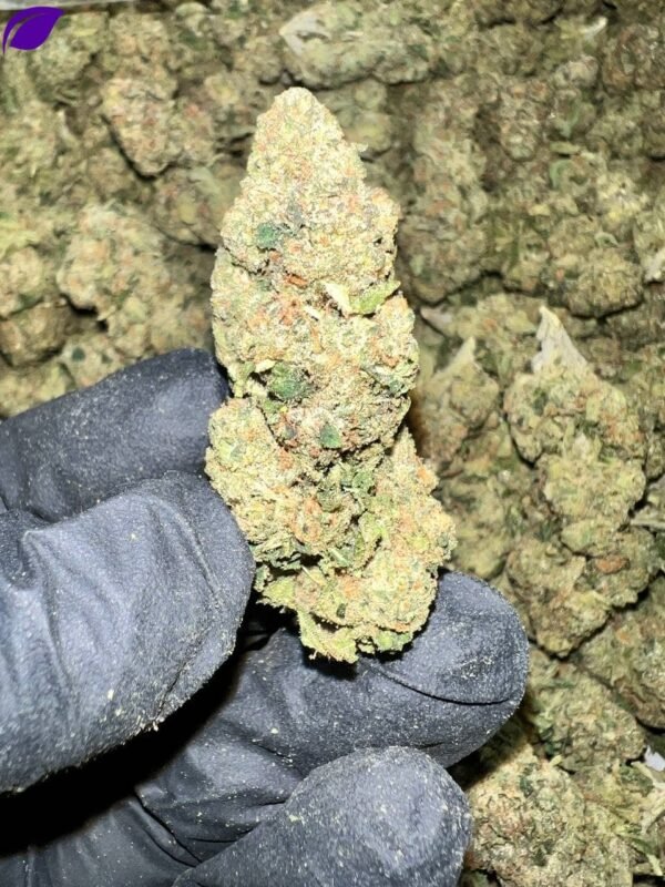 Astro Runtz THCa Flower