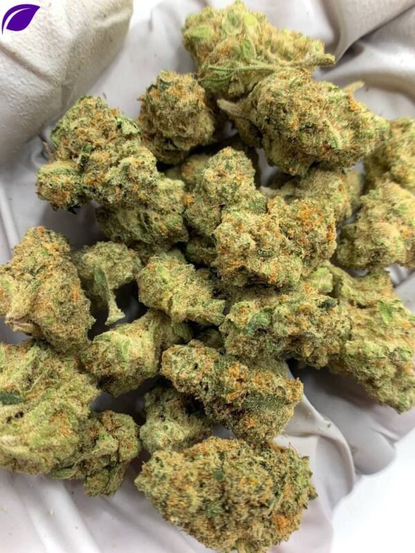 Honey Buns Exotic THCa Flower