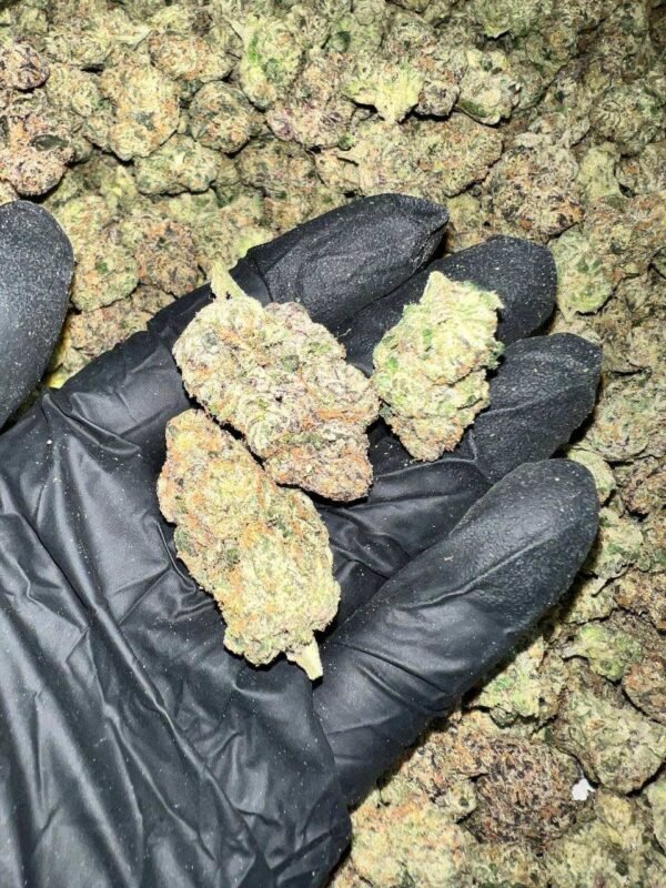 Hood Lemon THCa Flower