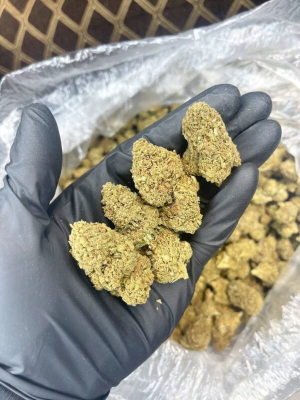 Hubba Bubba CBD Strain