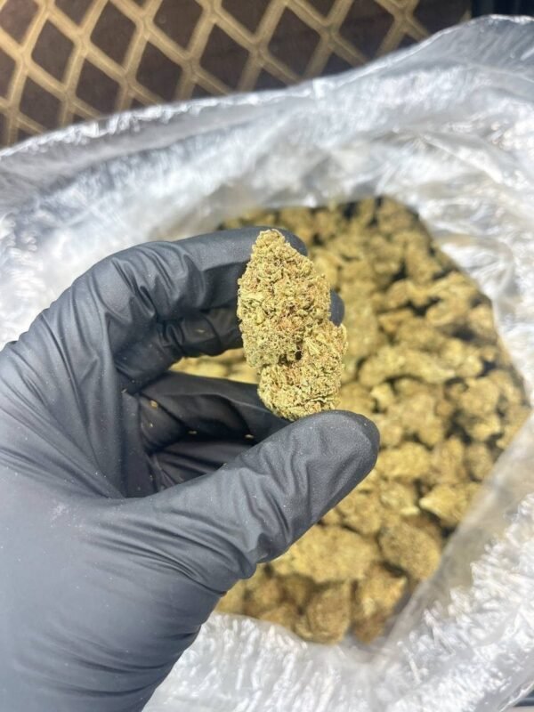 Hubba Bubba CBD Strain - Image 2