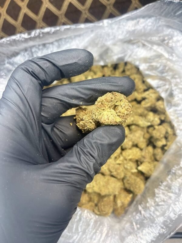 Hubba Bubba CBD Strain - Image 3