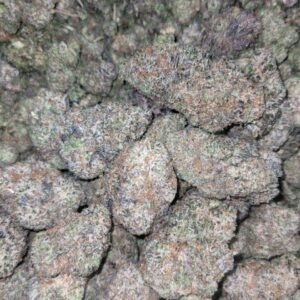 ICC Indoor CBD Strain