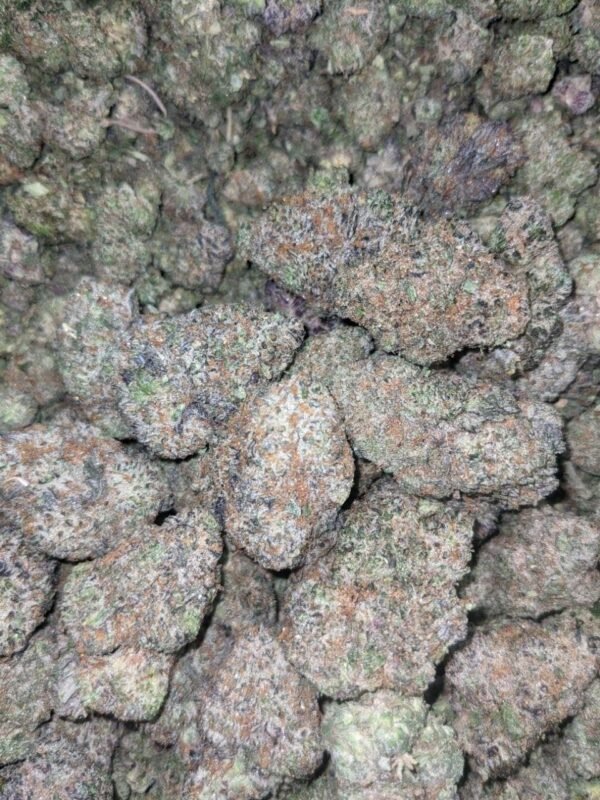 ICC Indoor CBD Strain