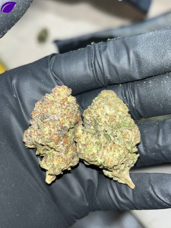Jealousy Runtz THCA