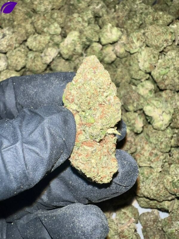 Jelly Zonuts THCA Flower