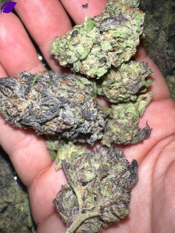 Jokerz THCa - Image 2