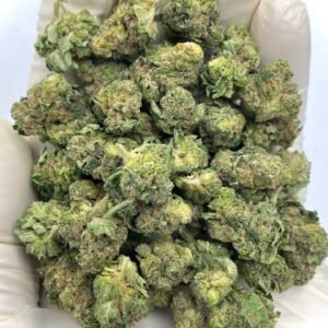 Keylime Jack THCa Flower