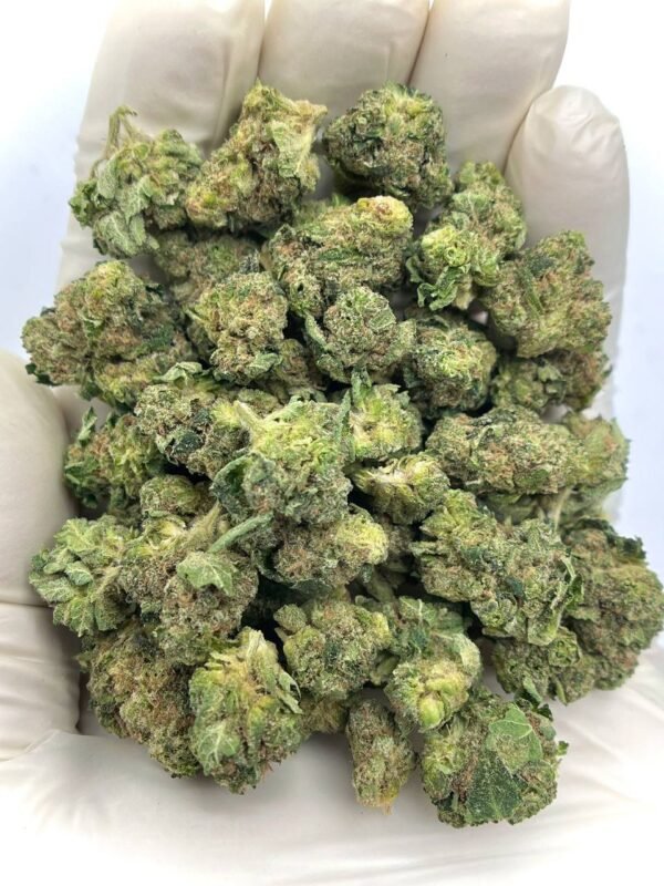 Keylime Jack THCa Flower