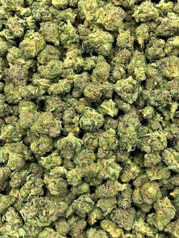 Keylime Jack THCa Flower - Image 2