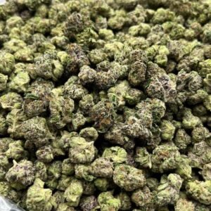 Lemon Cherry Gelato Smalls Indoor CBD Strain