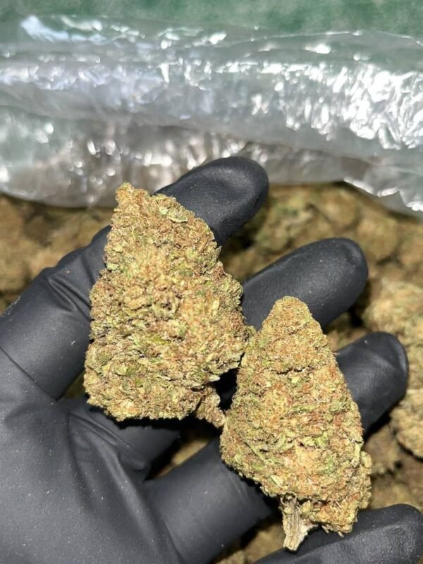 Lemon Gas CBD Strain