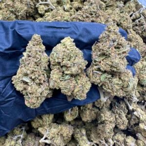 Lime Cookies CBD Strain