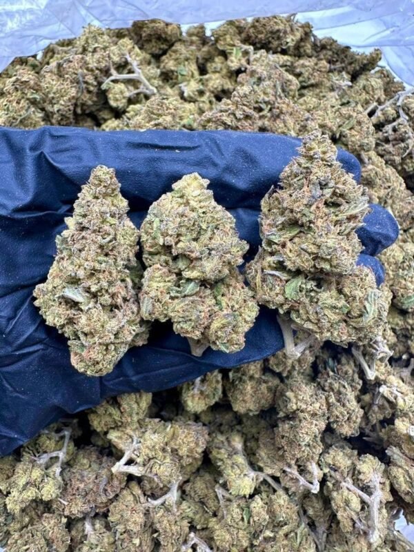 Lime Cookies CBD Strain